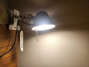 아르떼미데 톨로메오 핀자