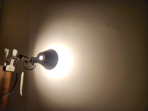 아르떼미데 톨로메오 핀자